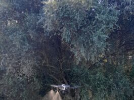 Veliki uspjeh udara dronovima na komarce na području Osijeka